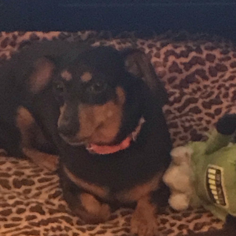 Meet your Posher, Deborah